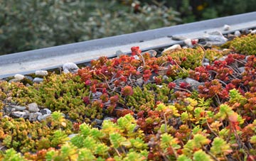 the cost of Burraton Coombe green roof installation
